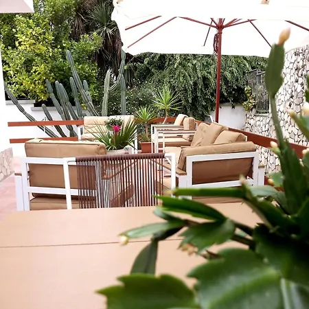 Appartamento In Villa Con Terrazzo E Vista Golfo Massa Lubrense Exterior photo
